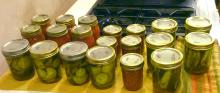 "Pickling" tomatoes, zuchinni pickles and cucumbers